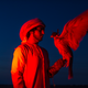 Illustration for article titled Falconers in Abu Dhabi Train Their Raptors With Drones